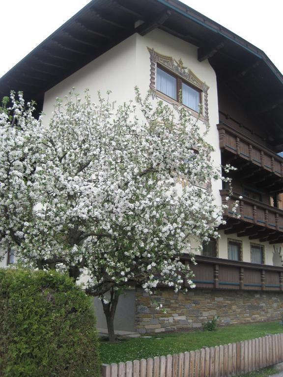 Gaestehaus Braunegger Штумм Экстерьер фото